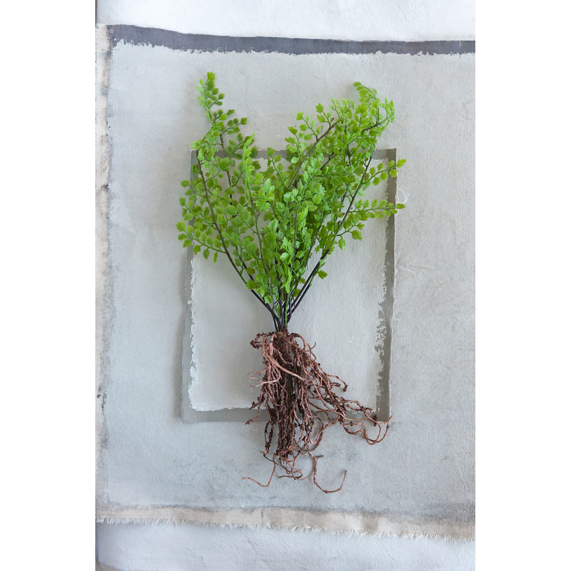Hello Honey® Faux Ferns with Exposed Roots Set